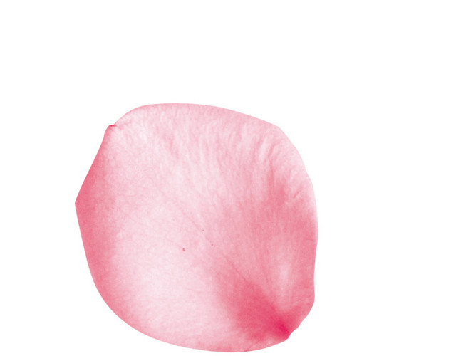 花瓣