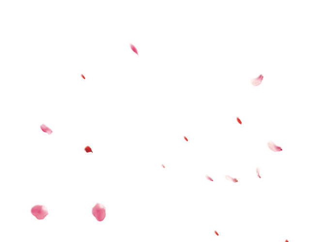 花瓣