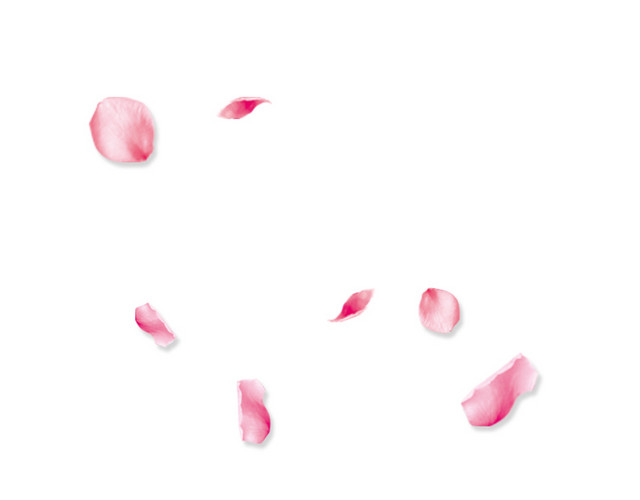花瓣