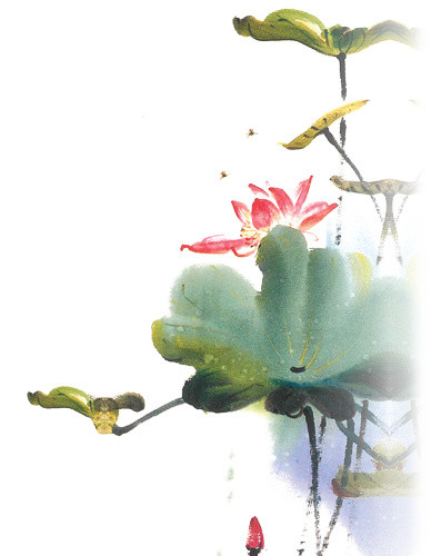 国画荷花
