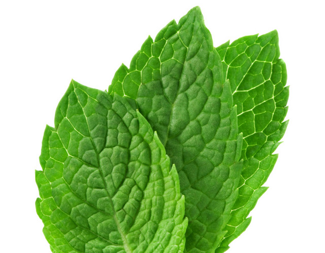 三片薄