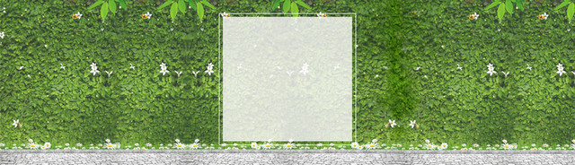 淘宝 店招 BANNER 背景