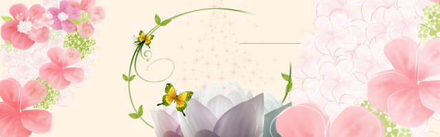 淘宝 店招 BANNER 背景