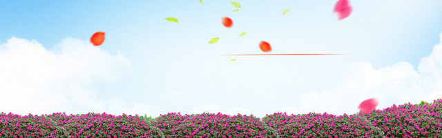 淘宝 店招 BANNER 背景