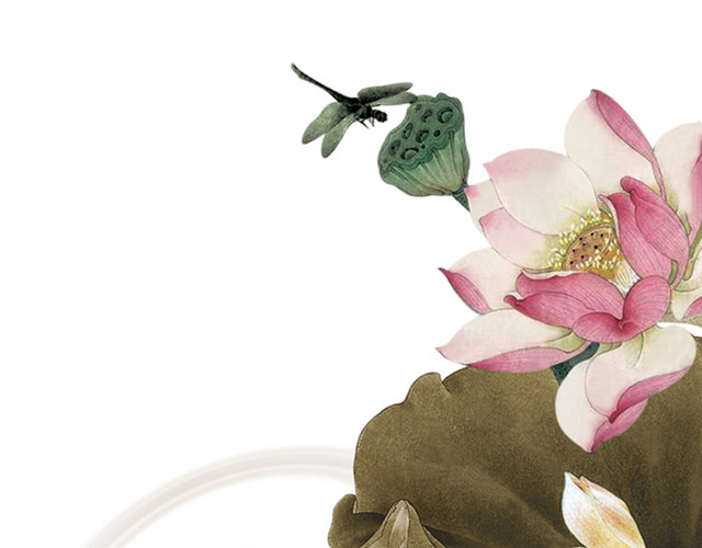 中国画荷花蜻蜓