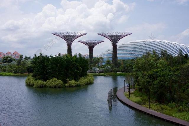 新加坡 花园 公园 亚洲 自然 植物 园艺 绿色 树 热带