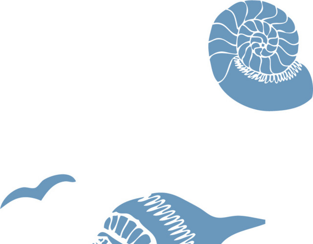 海洋生物蓝色海螺