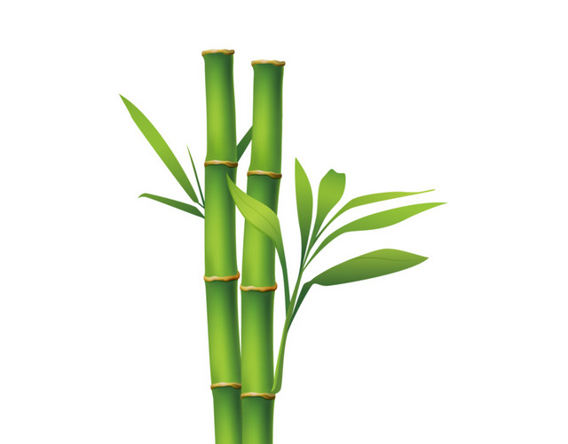 竹子