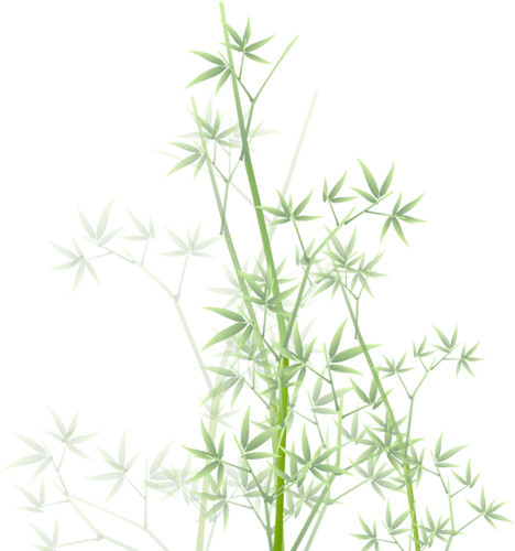 卡通竹林