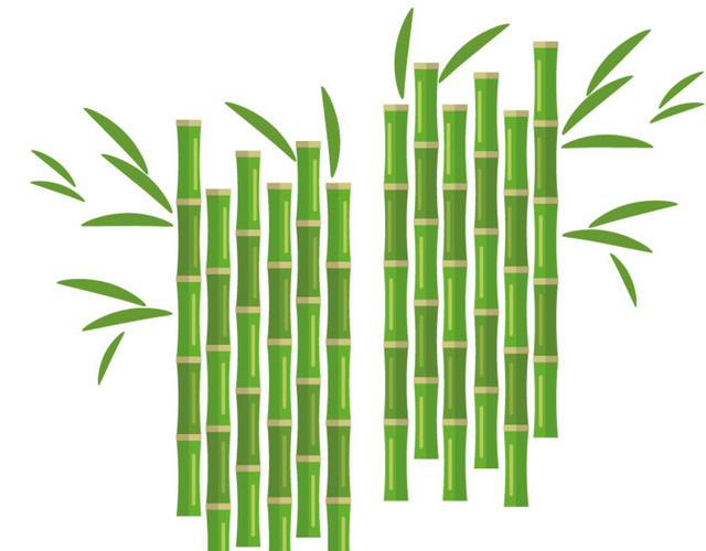 矢量植物竹子