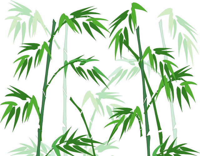 矢量手绘竹子