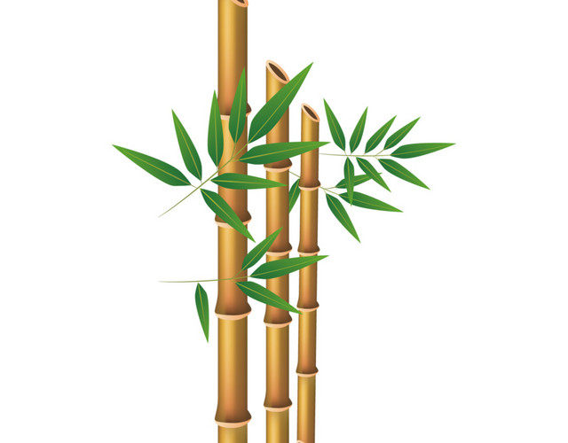 矢量黄色竹子下载