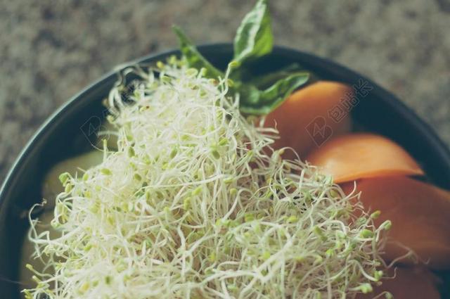 番茄 沙拉 黄色 豆芽 蔬菜 食品 绿色 健康 新鲜