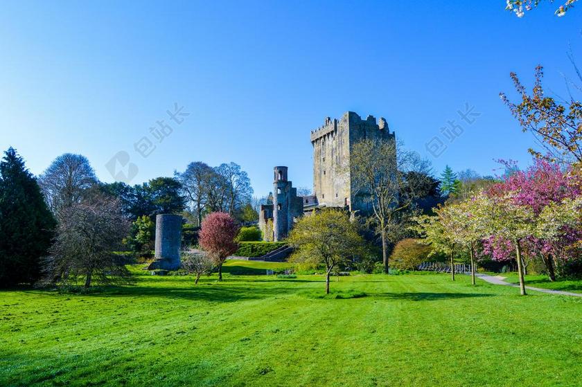 城堡 布拉尼 爱尔兰 石 爱尔兰语 结构 软木 中世纪 历史