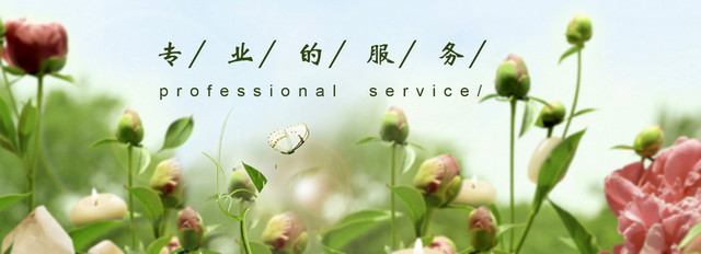 药店宣传海报