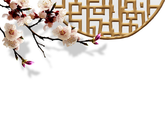 中国风梅花