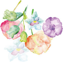 花边插画元素