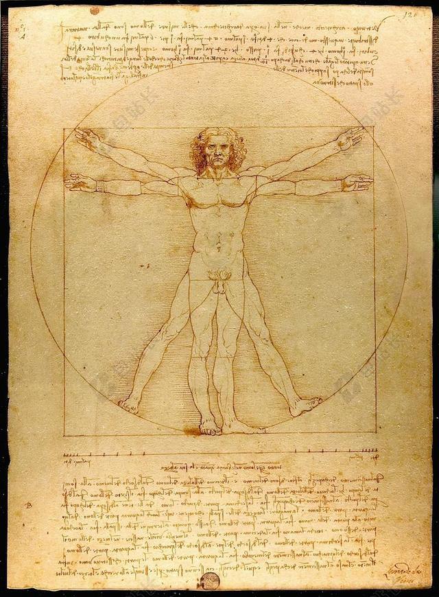 人的 达 · 芬奇 VITRUVIAN 男子