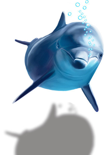 海豚