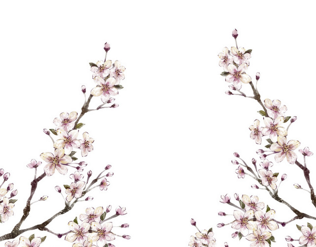 中国风粉色装饰梅花
