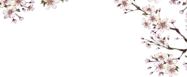 中国风粉色装饰梅花