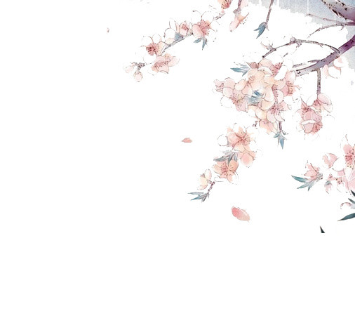 树梢飘落的梅花
