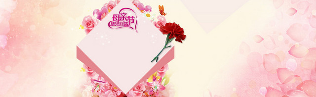 感恩母亲节浪漫康乃馨背景BANNER