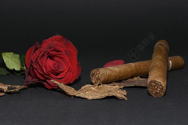 玫瑰 红玫瑰 雪茄 烟草叶片 玫瑰花瓣 花 开花 玫瑰绽放