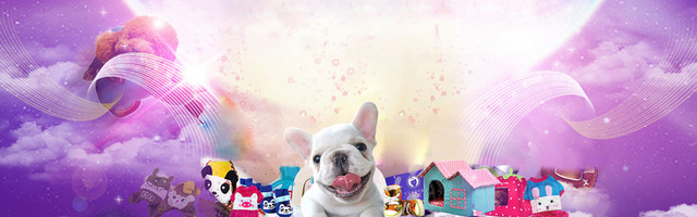 宠物海报BANNER