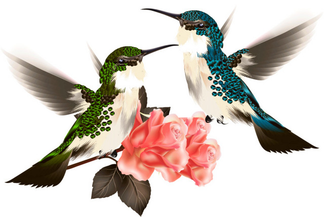 花鸟