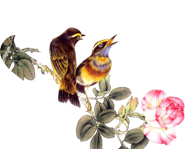 花鸟图