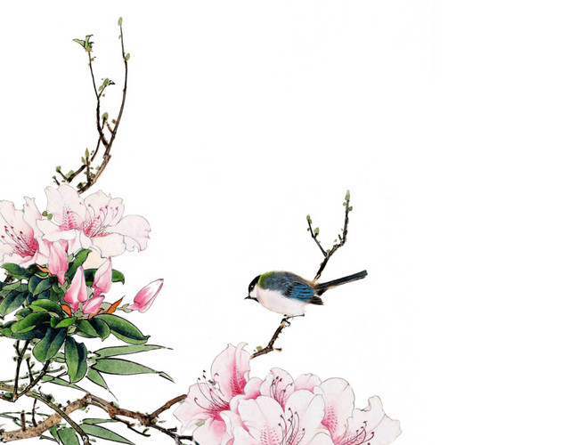 花鸟图