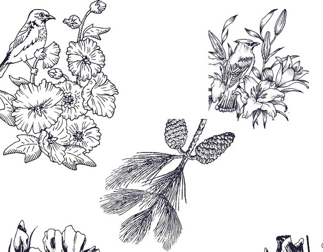 手绘花鸟