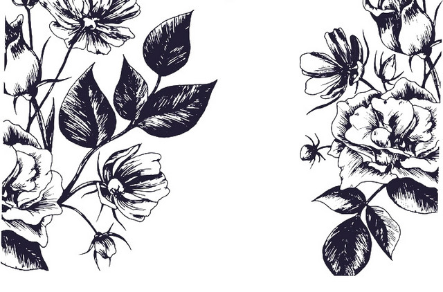 手绘花鸟