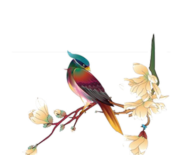 花鸟