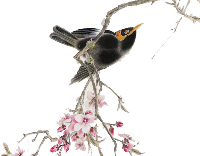 花鸟图