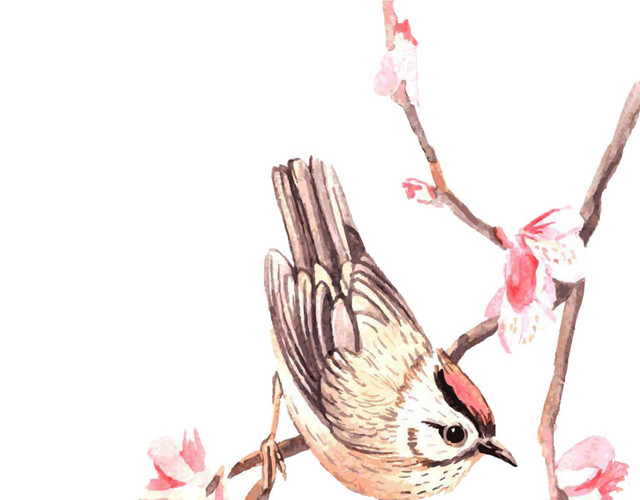 中国古典花鸟图