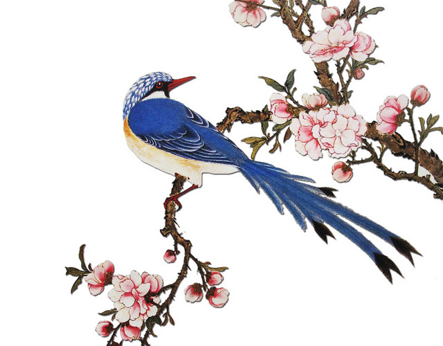 中国花鸟
