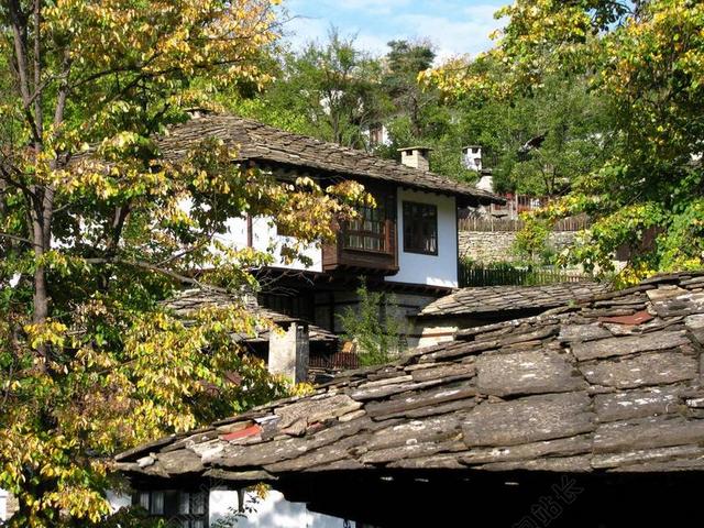 老房子 安老院 农村 乡村 树 自然 秋 多彩 保加利亚