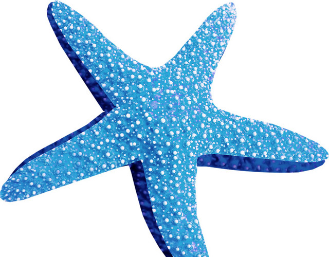 海星