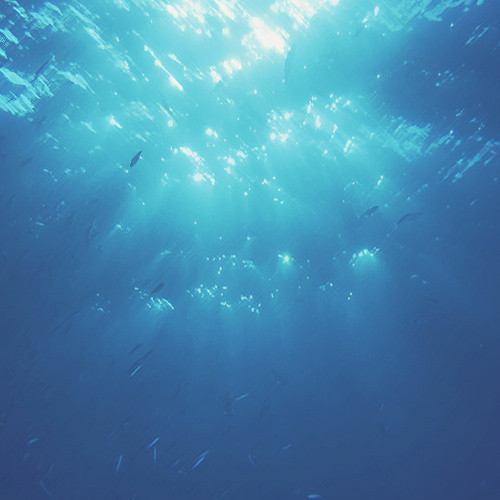 海