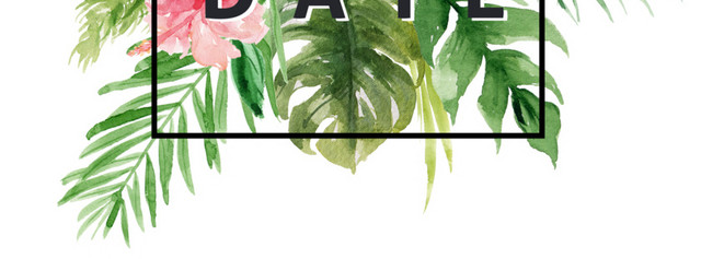 动物植物矢量手绘