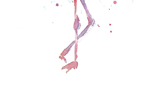 水彩火烈鸟