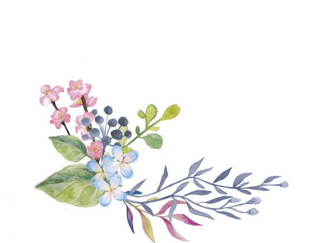 手绘花草花卉装饰