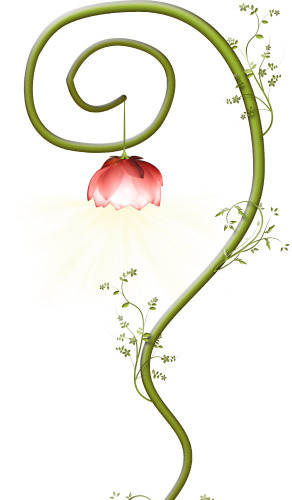 花藤