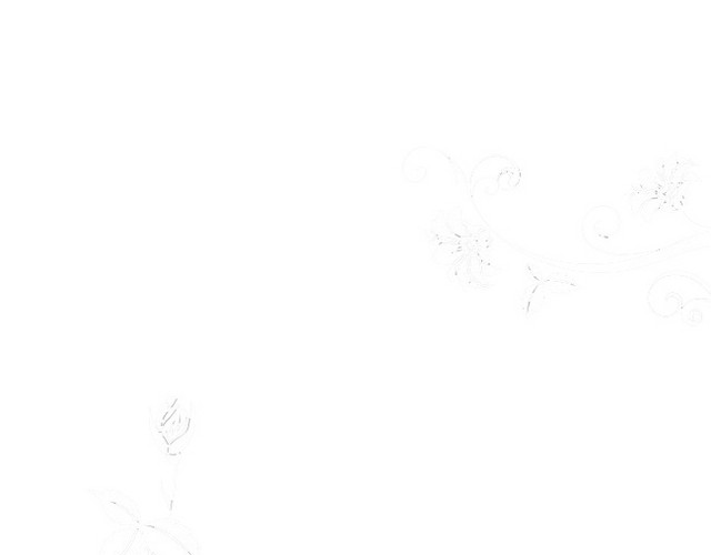 白色花纹