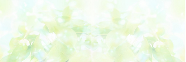 光点