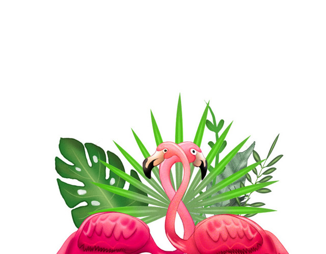 粉红色的火烈鸟和热带植物插画