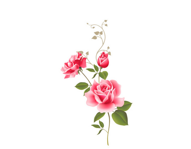 粉花 花藤