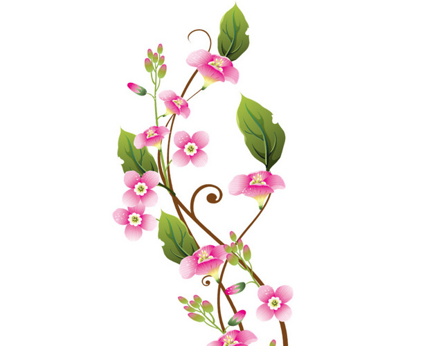 花藤